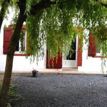Charmante T3, Jardin Spacieux, Parking, Proche & Thermes * Cazaubon