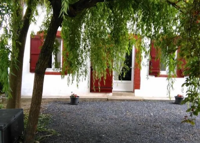 Charmante T3, Jardin Spacieux, Parking, Proche & Thermes - Fr-1-841-60 * Cazaubon