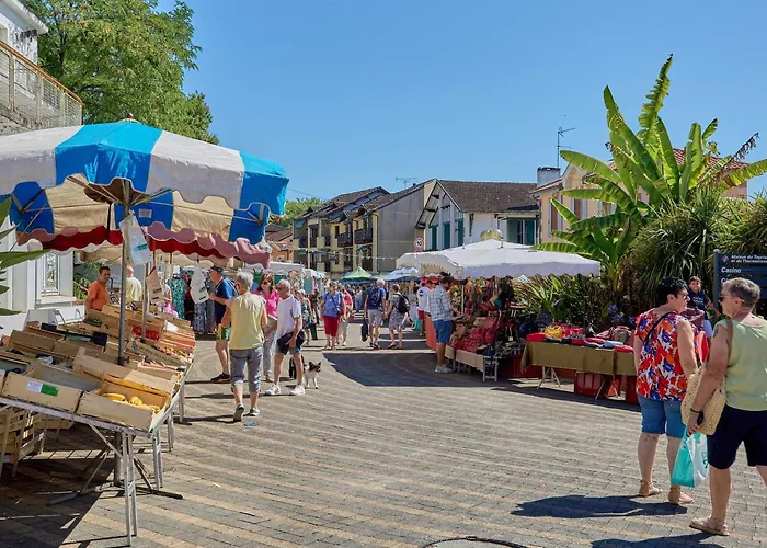 Charmante T3, Jardin Spacieux, Parking, Proche & Thermes - Fr-1-841-60 *